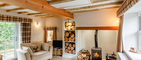 TV, fireplace