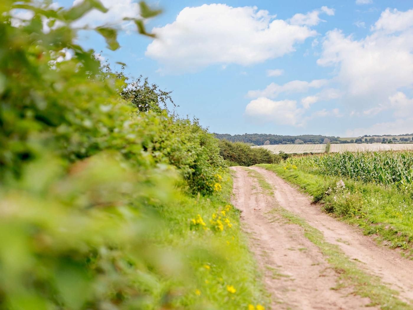 Un chemin de terre qui traverse une campagne, avec un ciel dégagé et des arbres qui se dessinent à l’horizon.