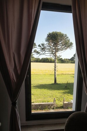 Interior - "Chambre aux oiseaux," La Vie Tranquille, a peaceful retreat 2.5 km from the ocean, southern Finistère (Plouhinec)