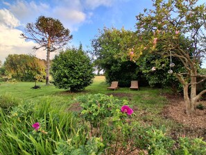 A garden with a large tree, a smaller tree, and two wooden chairs.