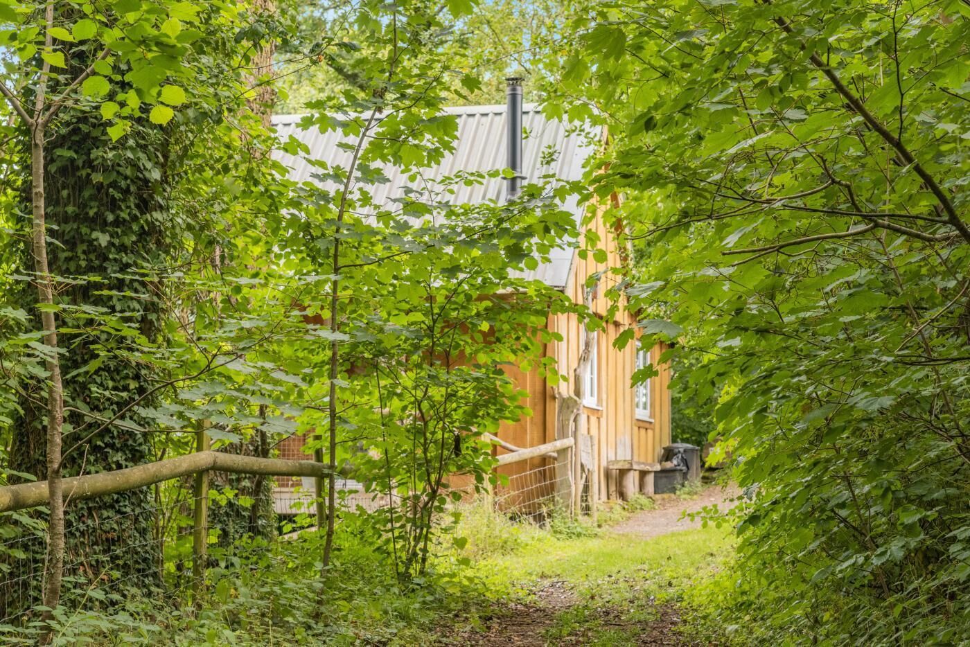 Un sentier étroit mène à un bâtiment surmonté d’un toit en métal, lequel est entouré d’une végétation luxuriante.