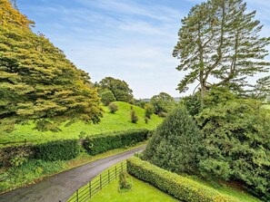 Ländliche Landschaft mit einer schmalen Straße, dichtem Grün und einem großen Baum am rechten Bildrand.