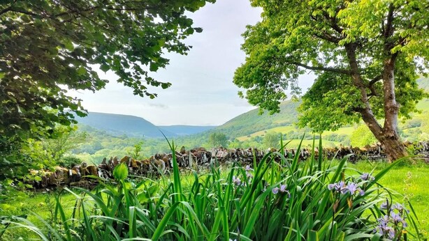 Un paysage verdoyant et luxuriant, avec un mur de pierre, des arbres et une vallée en arrière-plan.