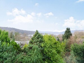 Eine Landschaft mit dichtem Grün und einer entfernten Aussicht auf eine hügelige Gegend.