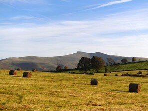 Ländliche Landschaft mit Heuballen und Bäumen, im Hintergrund ein Berg.