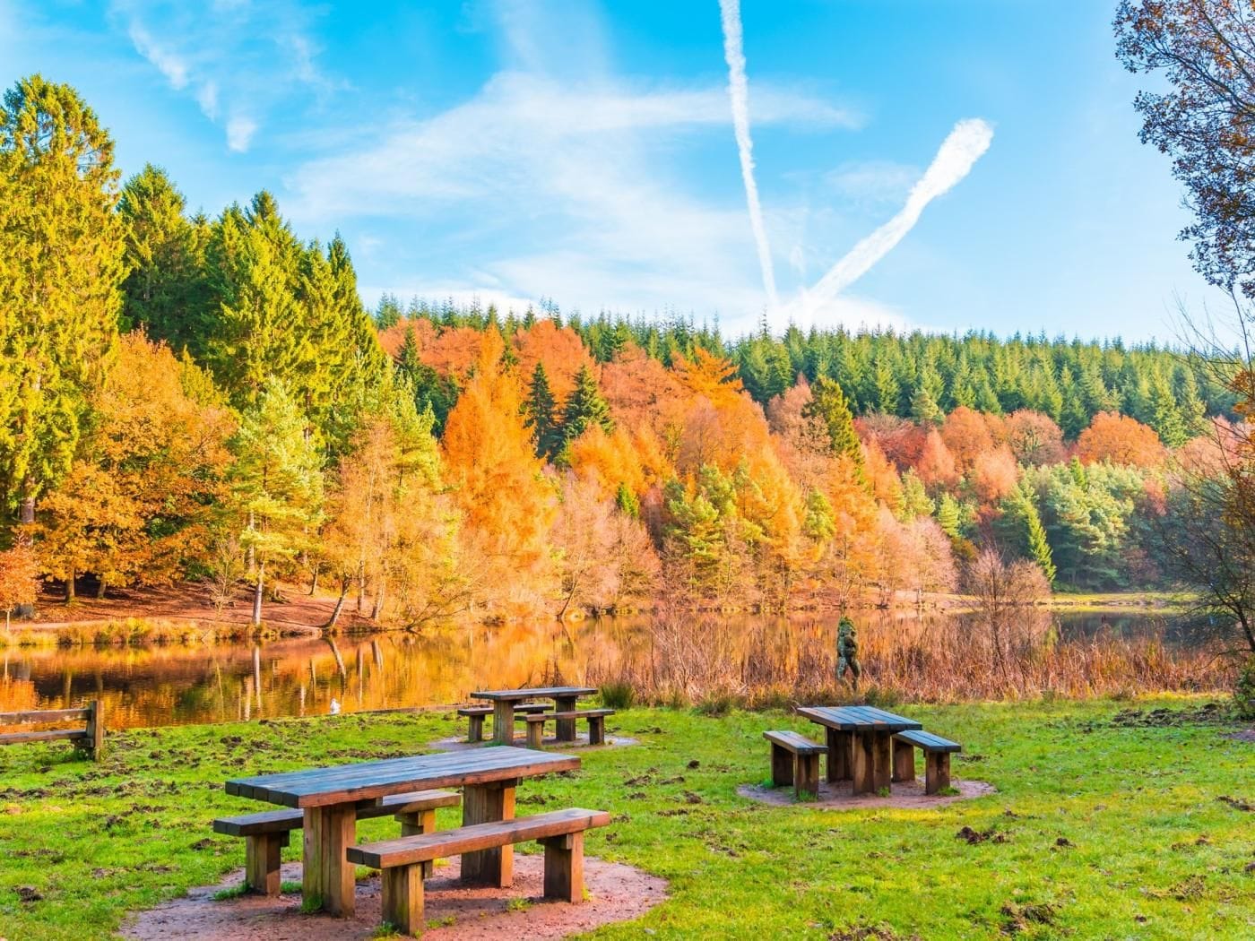 A lakeside picnic area with benches and a forested hill in the background.