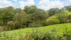 Un paesaggio verdeggiante e lussureggiante, con dolci colline e alberi fitti sotto un cielo parzialmente nuvoloso.
