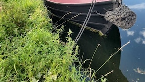 A narrowboat parked on a calm riverbank, surrounded by lush greenery. - Lovely Narrowboat Chiltern Hills and Surrounding. (Hemel Hempstead)