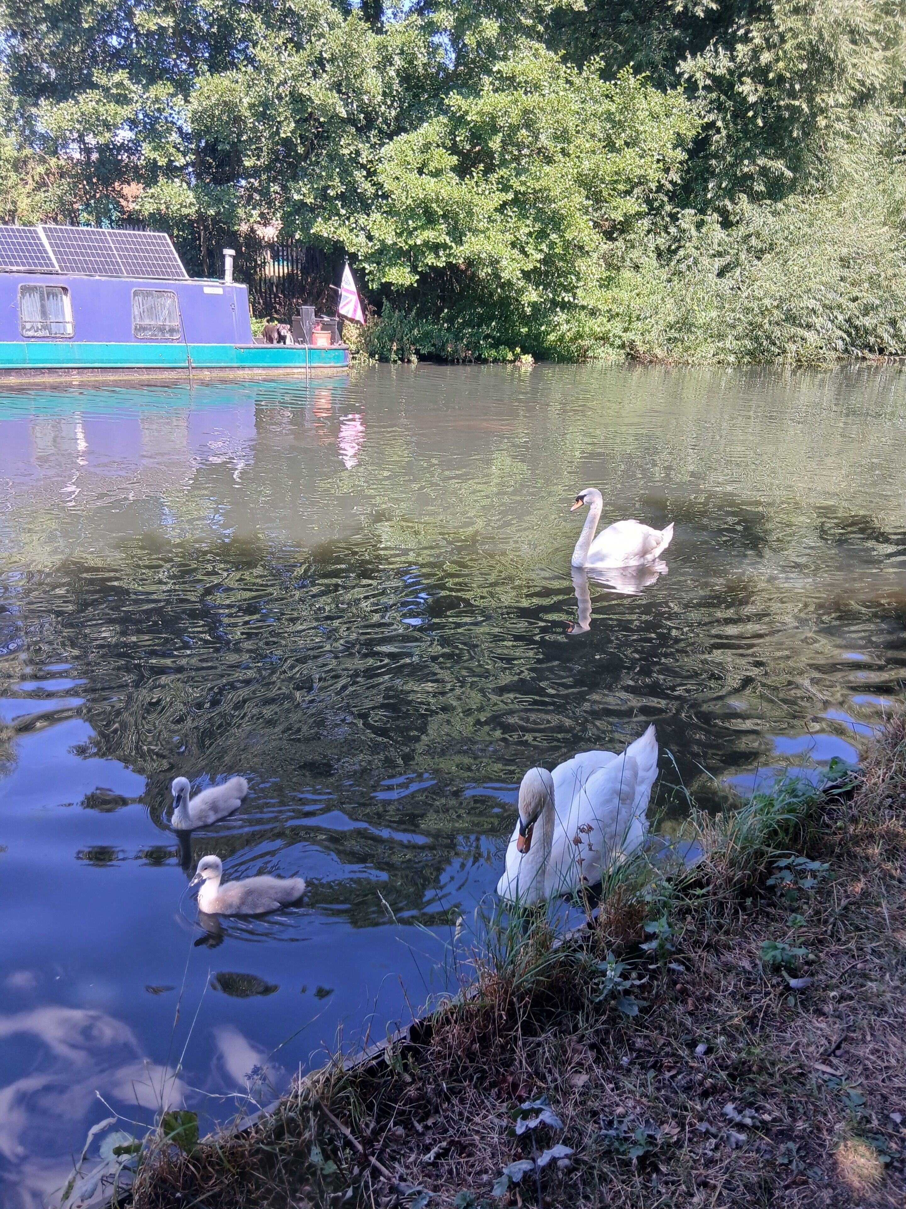 Miscellaneous