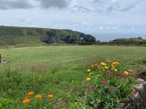 A grassy field with a stone wall and a bench. - 2 Bed in Helston (oc-54556) (Mullion)