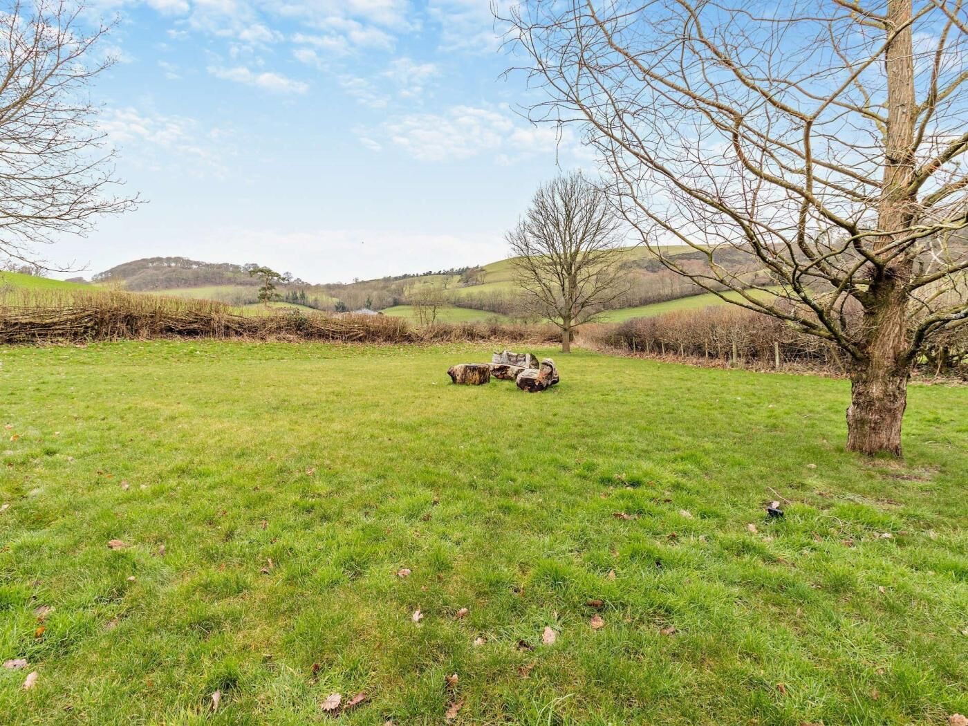 A grassy field with a tree and a pile of logs.