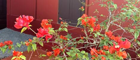 Un edificio rojo con marco blanco en la ventana y una puerta, rodeado por un camino de grava y plantas con flores.
