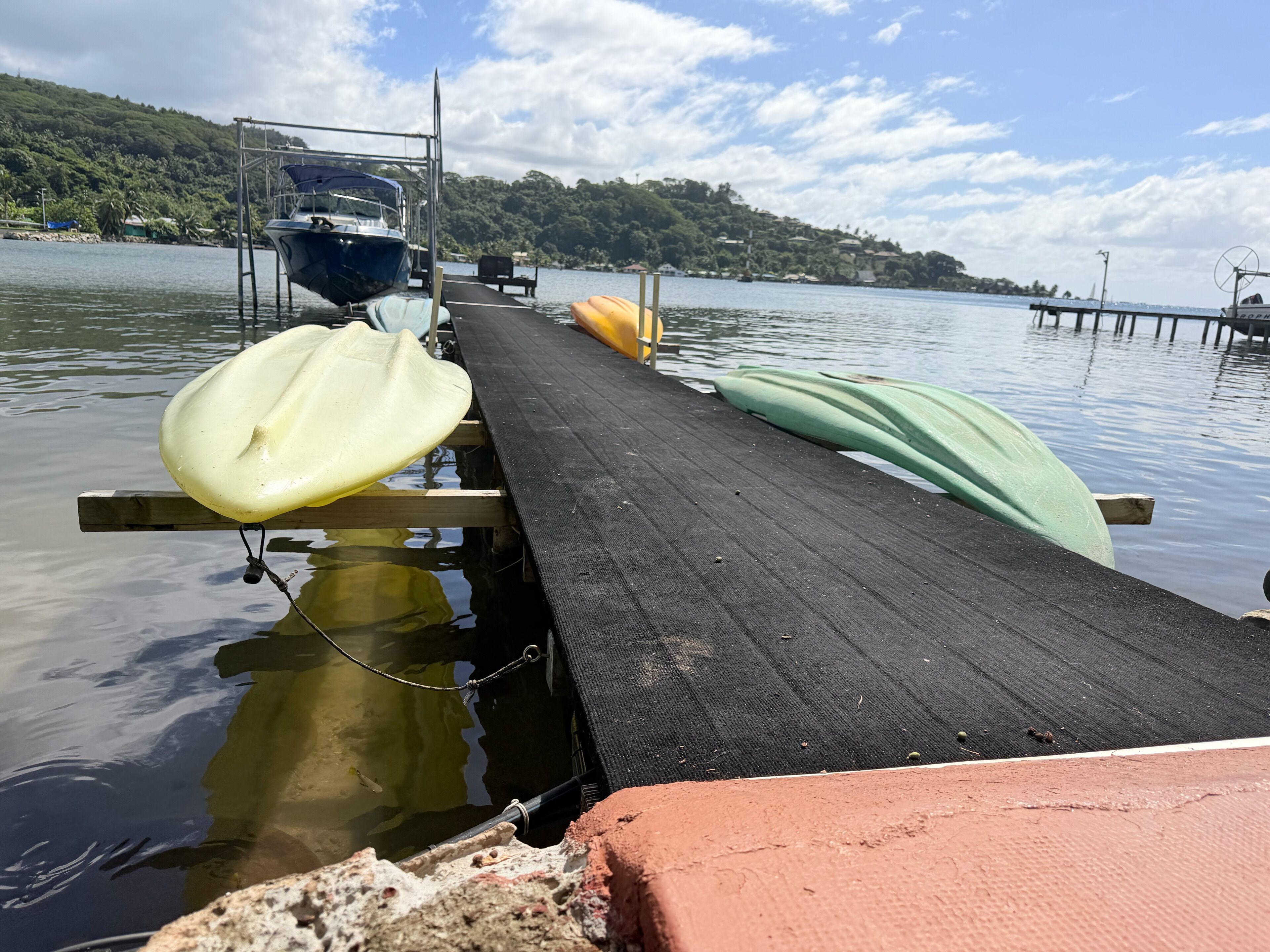 A dock with boats and a forested hill in the background.