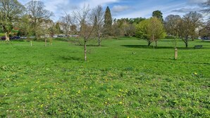 Un parque con césped verde, árboles y cielo despejado.