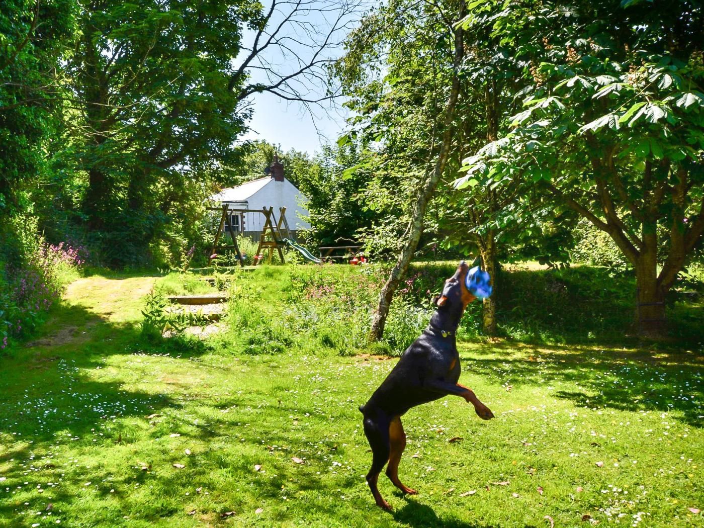 A dog in a grassy outdoor area with trees and a white building in the background.