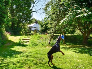 Ein Hund in einer grünen Landschaft mit Bäumen und einem weißen Gebäude im Hintergrund.