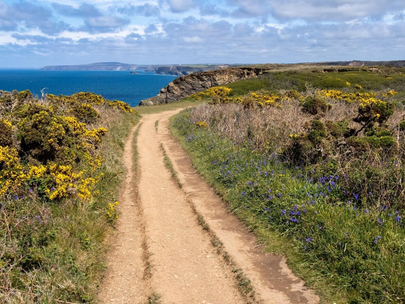 A dirt path leading to a coastal area with yellow and purple flowers, and a view of the sea.
