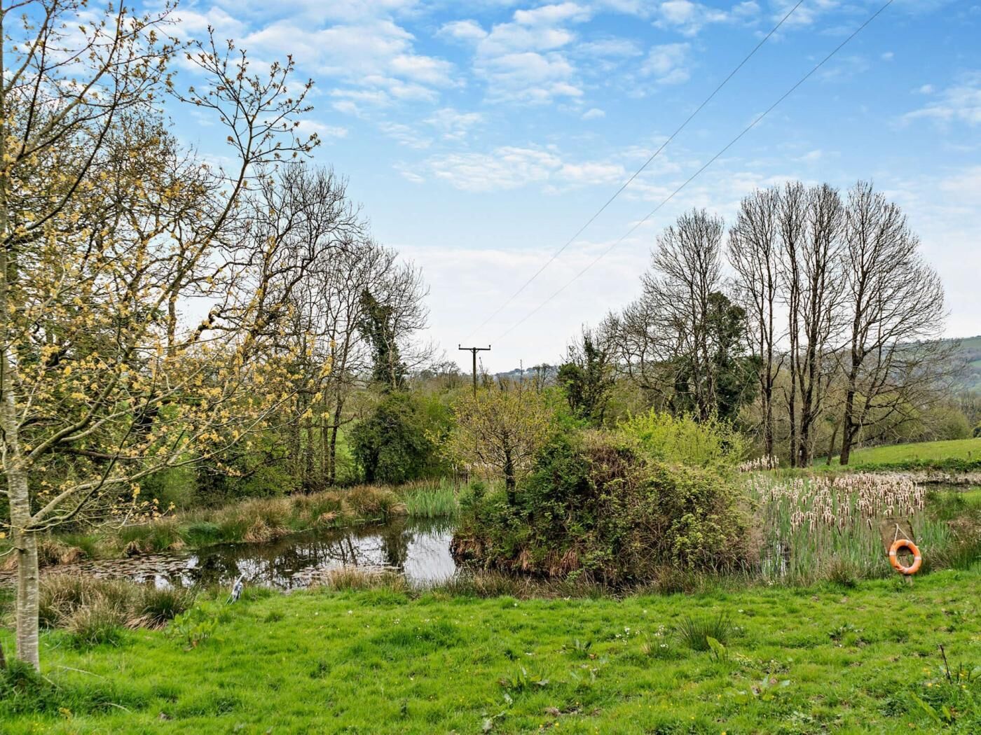A natural landscape with a pond, trees, and a grassy field.