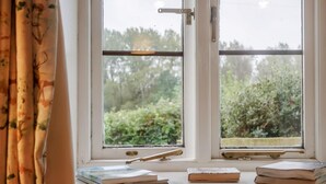 Ventana con vista a follaje, cortina y tres libros sobre un repisa.