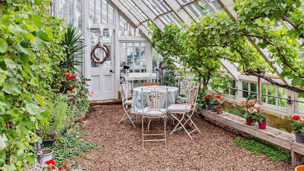 A greenhouse with a table and chairs, surrounded by plants and a wooden bench. - 1 Bed in Elgin (oc-94281) (Elgin)