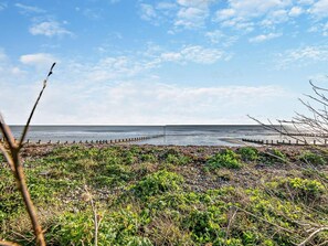 Un paysage côtier avec une plage rocheuse, de la végétation et une jetée en bois qui s’avance dans la mer.