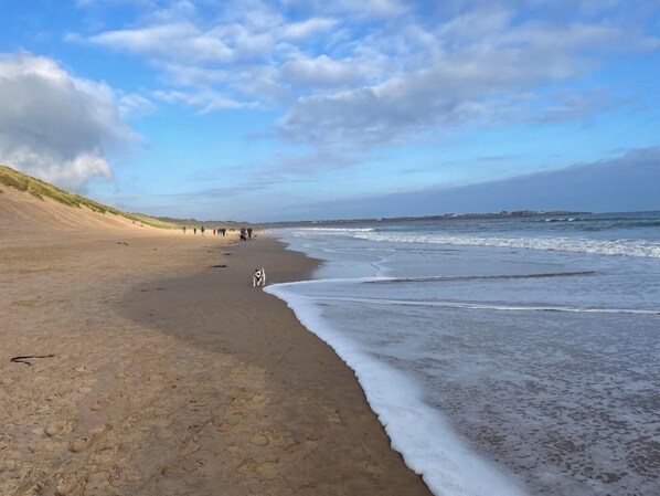 Beach - 2 Bed in Seahouses (oc-cn059) (Seahouses)