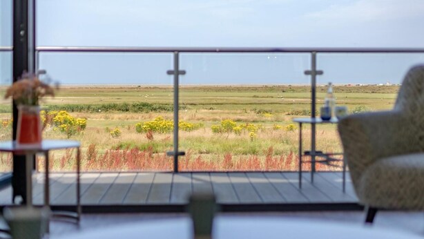 En balkon med udsigt over en græsplæne og en klar himmel.