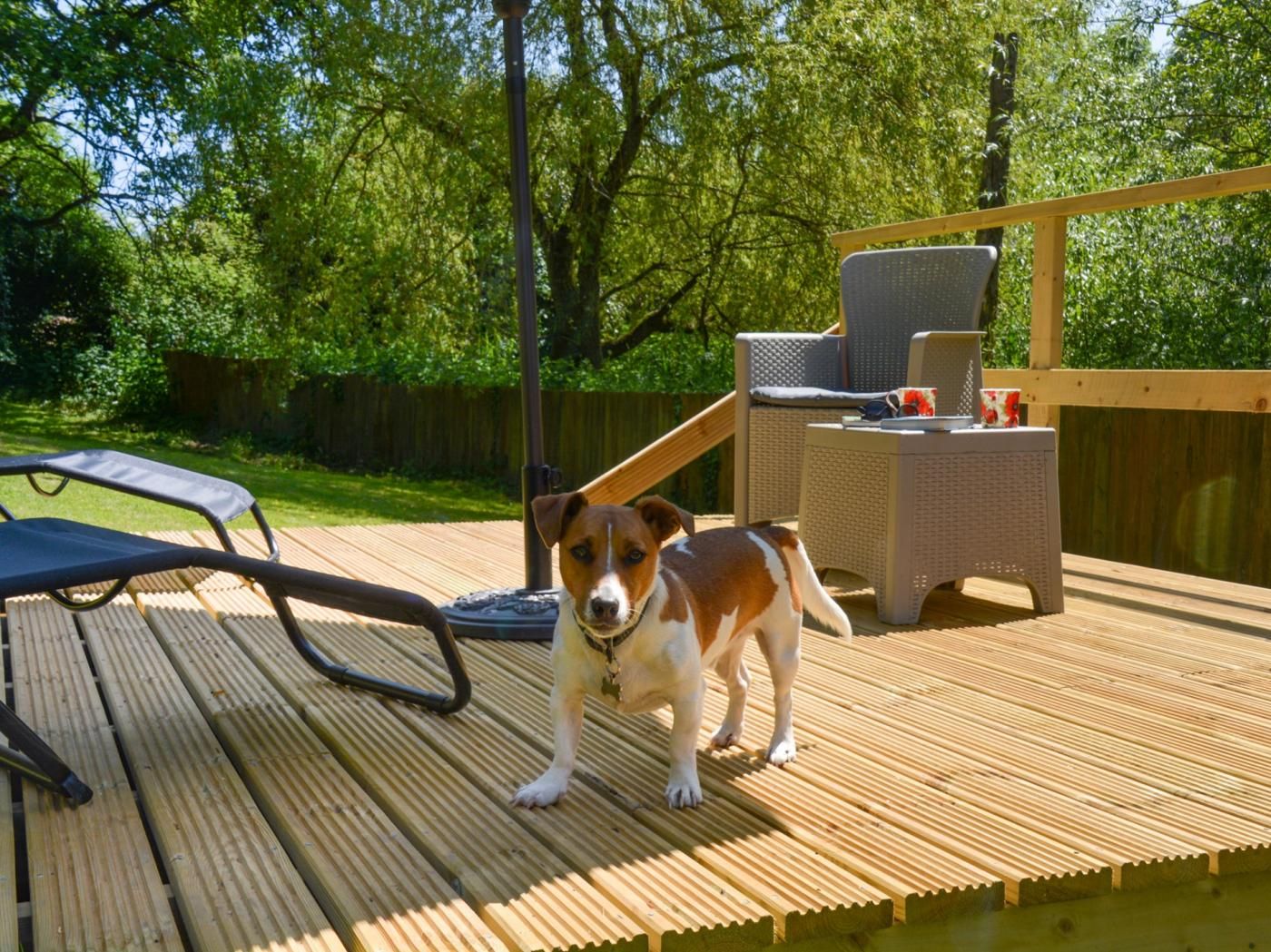 A deck with a dog, outdoor furniture, and a wooden fence.