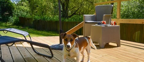 Une terrasse avec un chien, du mobilier d’extérieur et une clôture en bois.