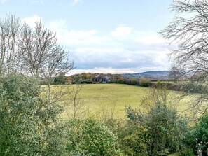 Ländliche Landschaft mit einem Haus, umgeben von Feldern und Bäumen.