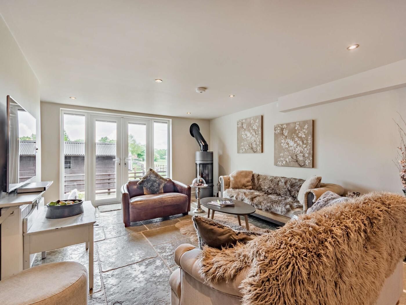 TV, fireplace