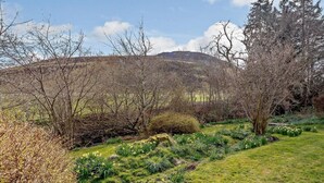 Un paysage naturel composé d’une zone herbeuse, d’arbres et d’une colline en arrière-plan.