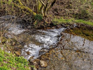 A stream flowing over rocks with moss-covered trees and greenery around. - 2 Bed in Biggar (oc-ca366) (Biggar)