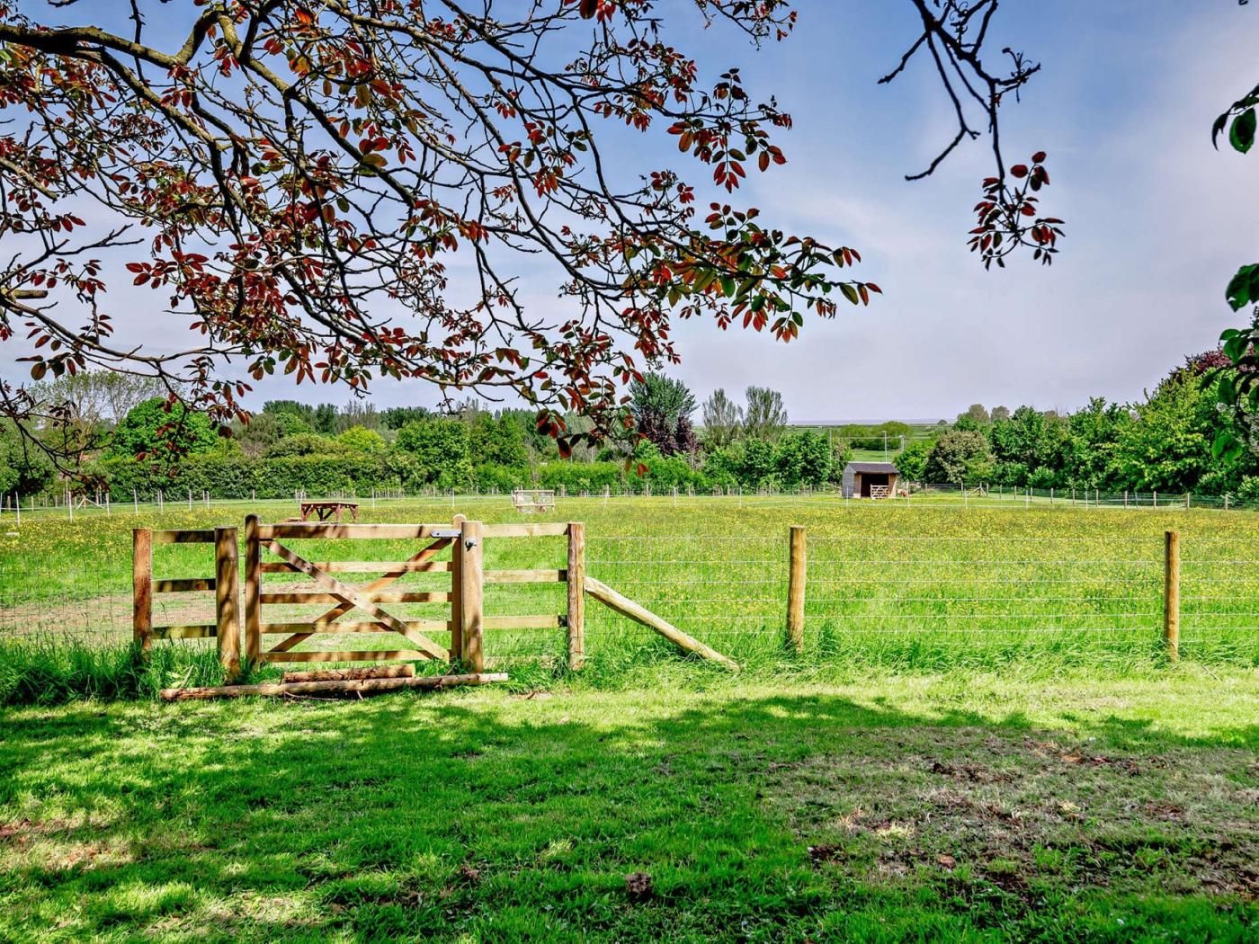 A fenced field with a wooden gate, a small structure in the distance, and trees with autumn leaves.