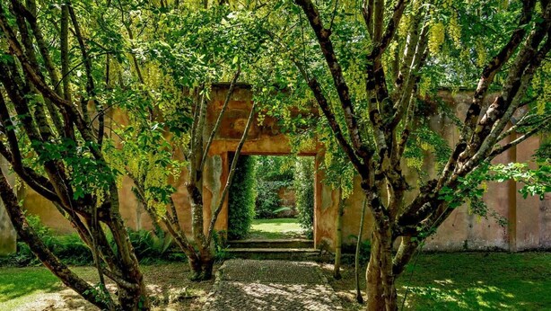 Ein Weg, der durch einen Garten mit einer Pergola führt.