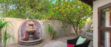 Un patio con una fuente, mobiliario exterior y un limonero.