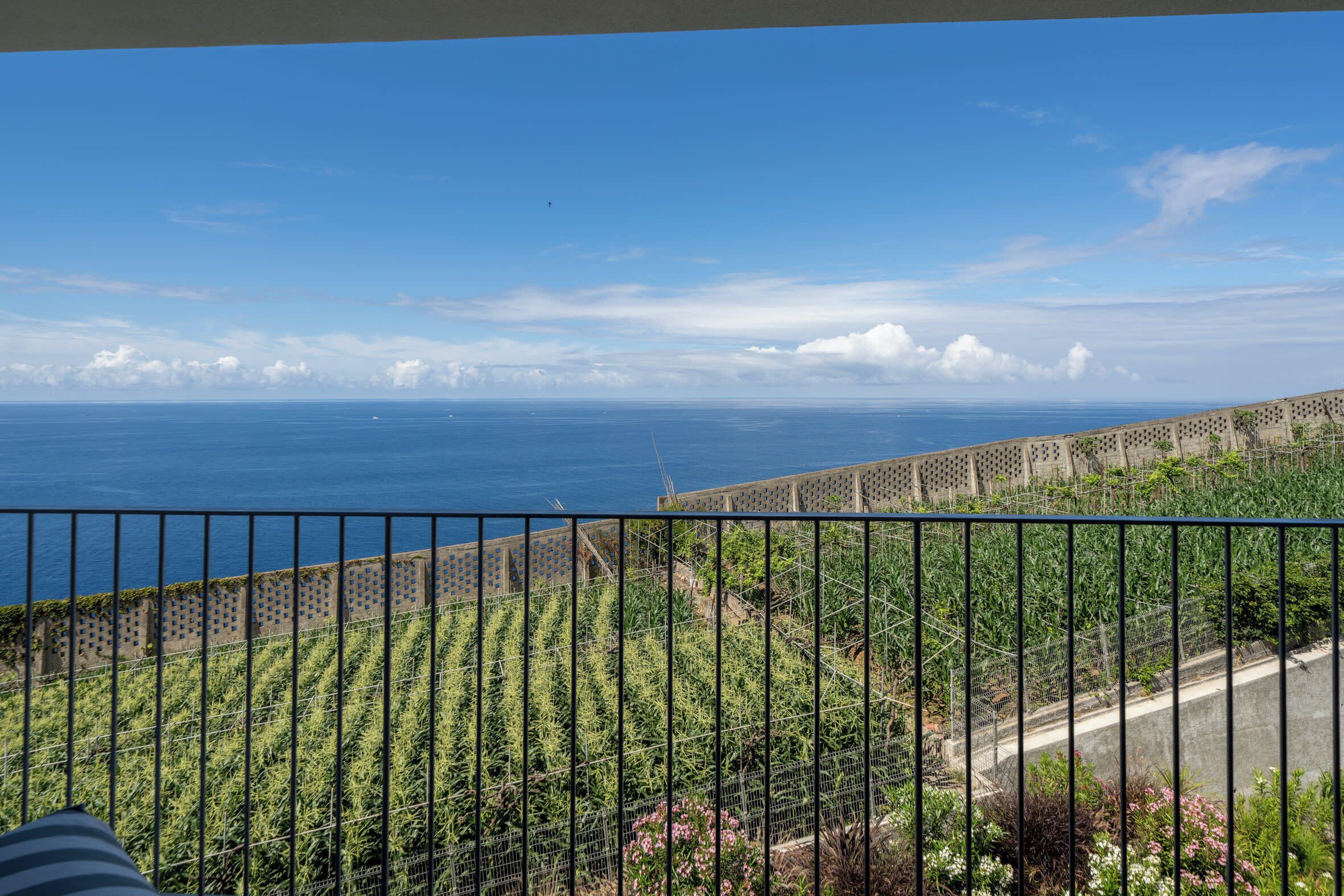 Un balcón con vista al océano, un jardín con diversas plantas y un cielo despejado.