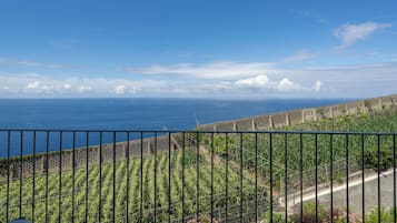 Un balcón con vista al océano, un jardín con diversas plantas y un cielo despejado.