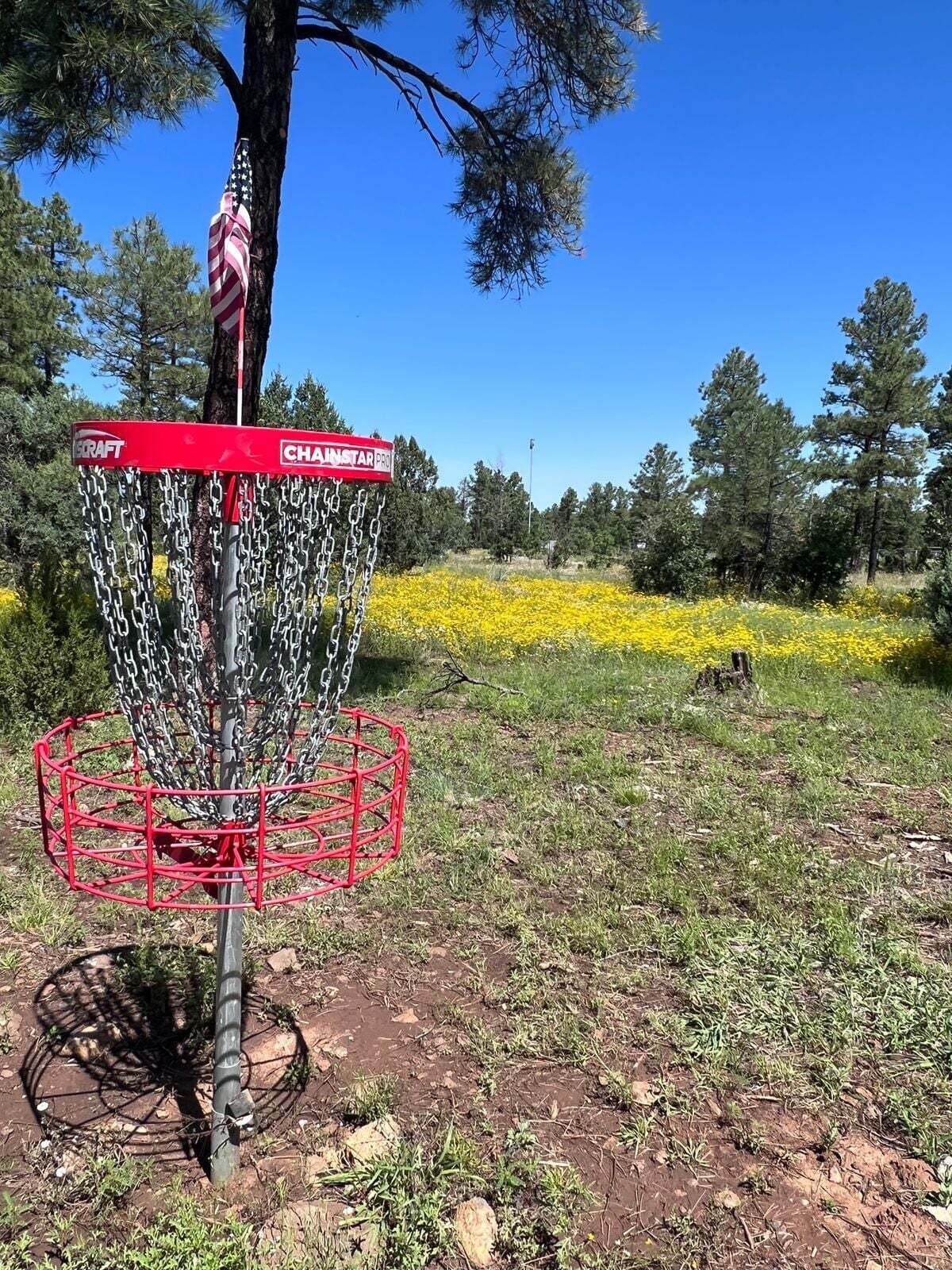 Een disc golf mand met kettingen en een vlag, omgeven door bomen en gele bloemen.