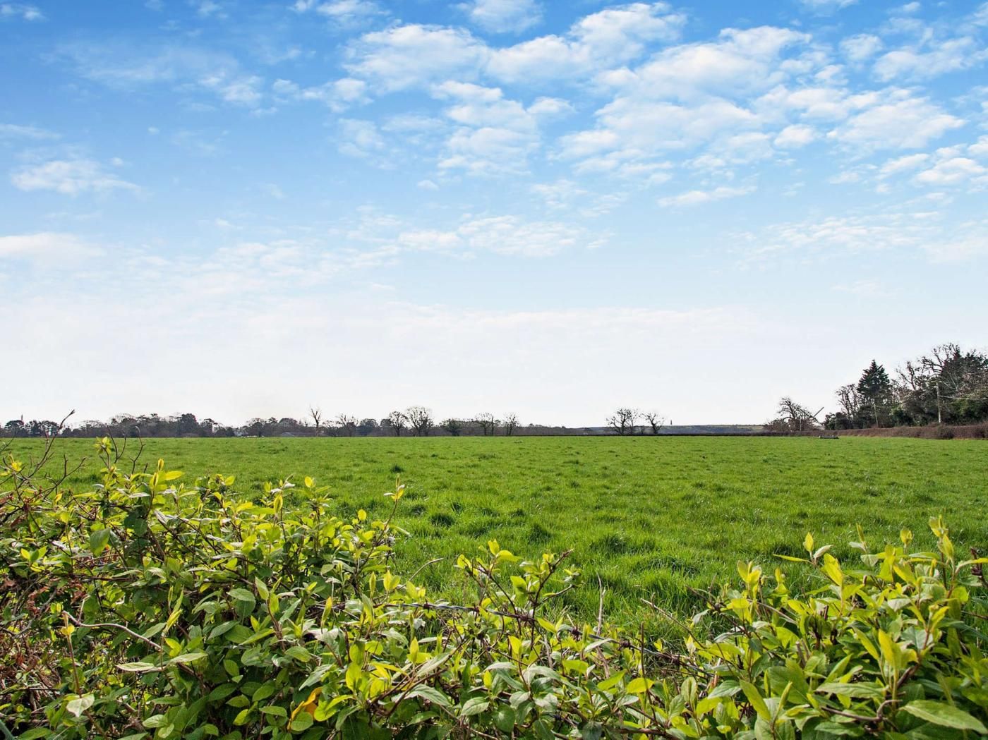 A wide-open grassy field with a clear sky.