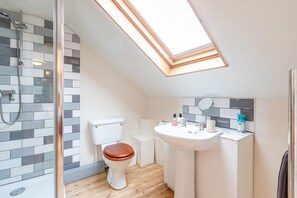 A modern bathroom with a skylight, a toilet, a sink, and a shower. - 1 Bed in Bideford (oc-folly) (Buckland Brewer)