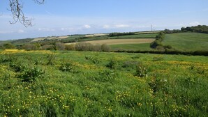 A rural landscape with rolling hills, a wind turbine, and a field of yellow flowers. - 1 Bed in Bideford (oc-pwork) (Buckland Brewer)