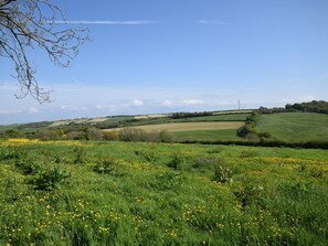 Ländliche Landschaft mit sanften Hügeln, einer Windturbine und einem Feld voller gelber Blumen.
