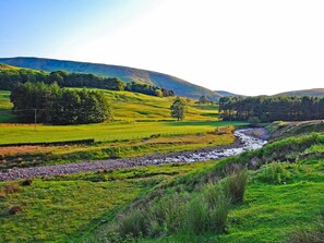 Ein Fluss fließt durch ein grünes Tal, im Hintergrund erheben sich Hügel.