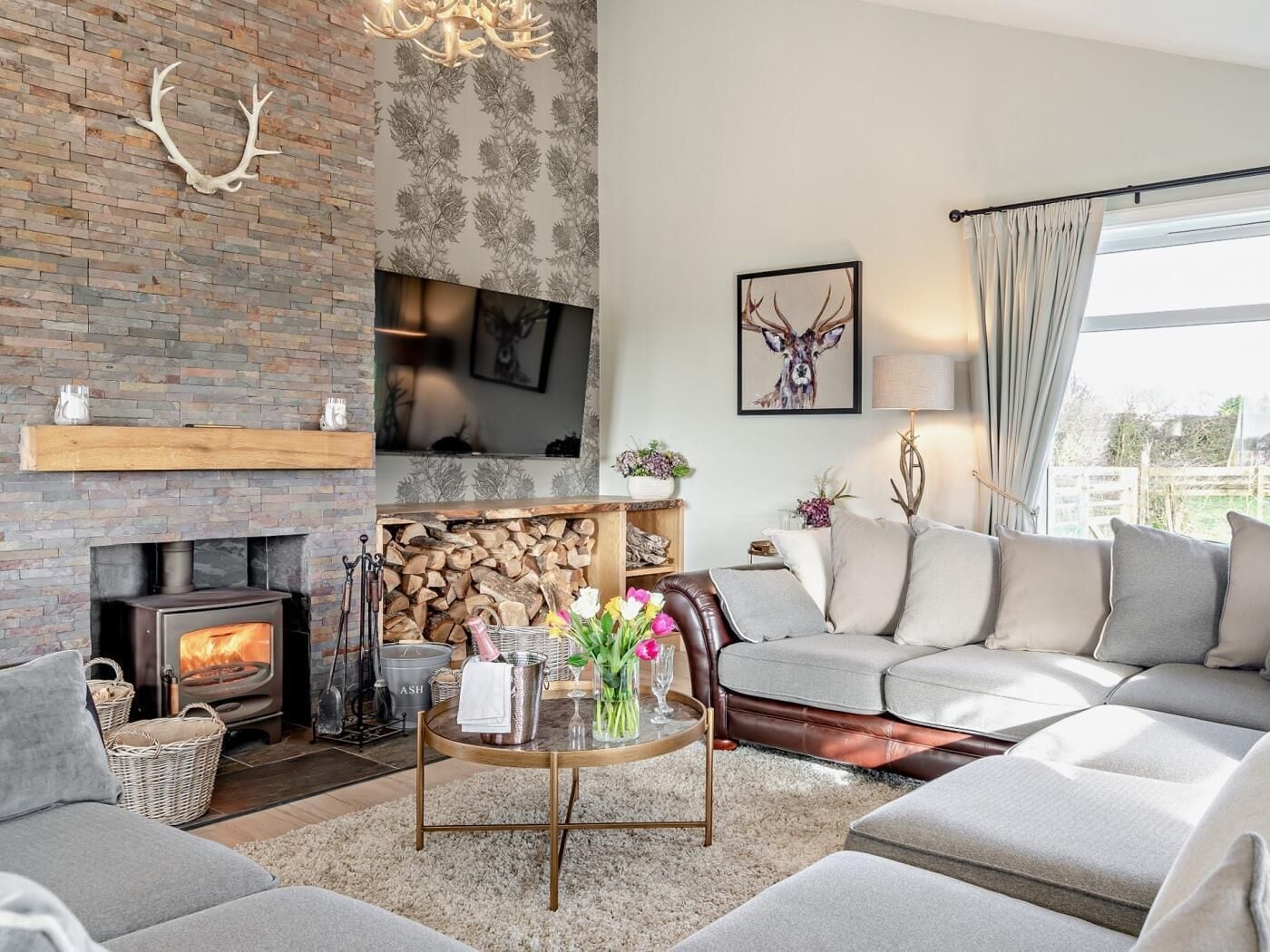 TV, fireplace