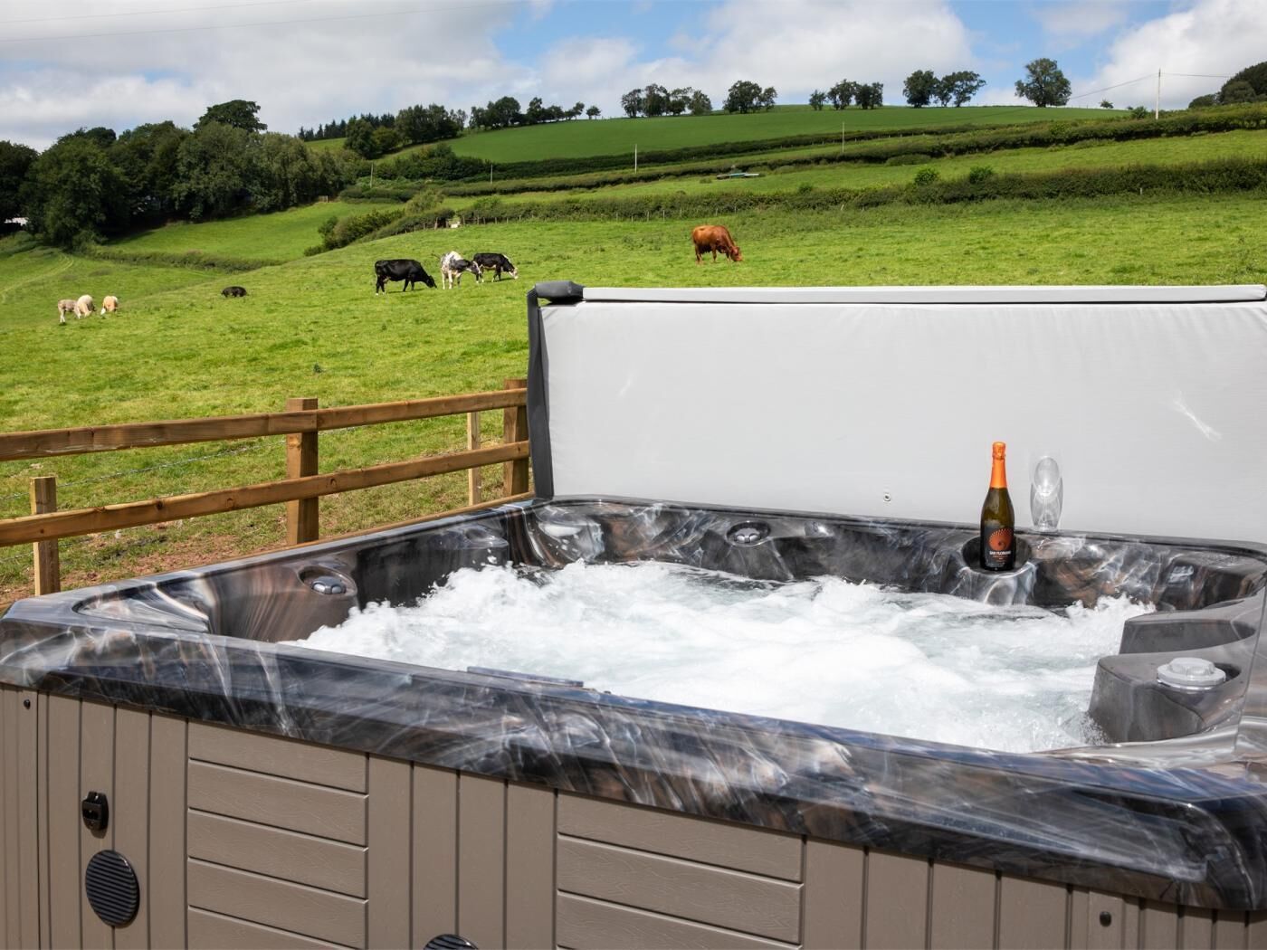 Een jacuzzi met een fles champagne, omringd door een houten omheining, met een grasveld en koeien op de achtergrond.