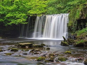 Ein Wasserfall, umgeben von üppiger Vegetation.