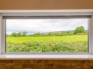 Ein Fenster mit Blick auf ein grünes Feld und Bäume.