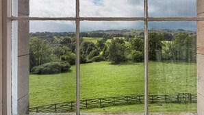 Une vue à travers une fenêtre ornée d’un motif en croix, dévoilant un paysage verdoyant avec des arbres et une clôture.
