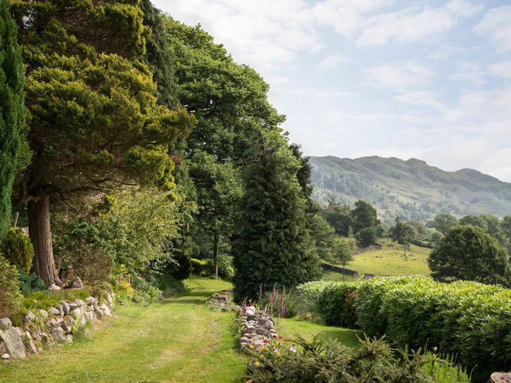 A lush green landscape with a stone wall, a variety of trees, and rolling hills in the background.